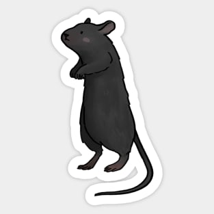 Cute black mouse Sticker